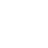 LI-icon